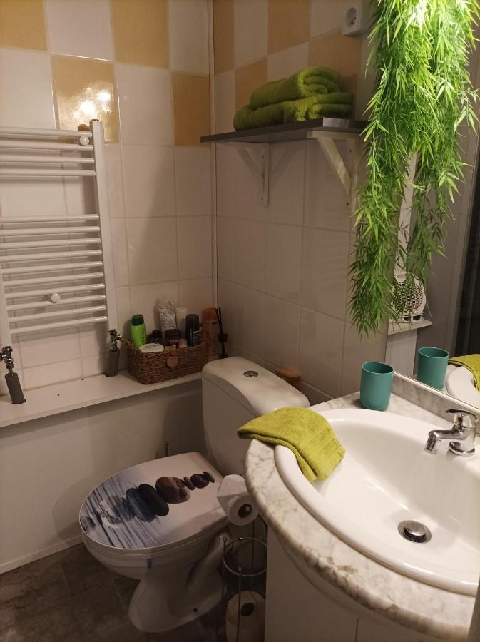 Le Cocon De Sausheim Apartment Екстериор снимка